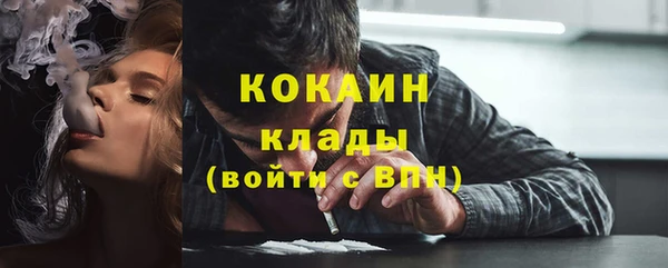 гашик Богданович
