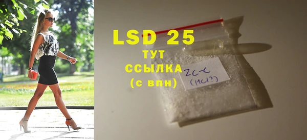 твердый Бородино