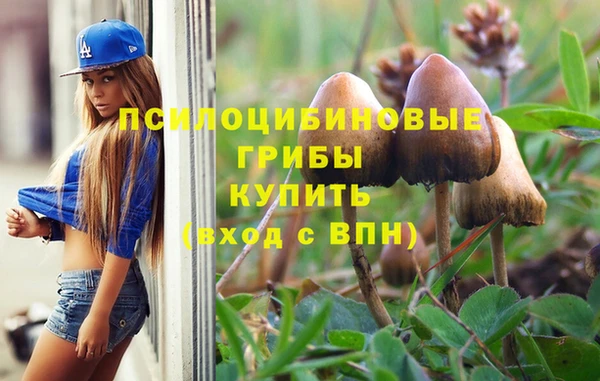 альфа пвп Беломорск