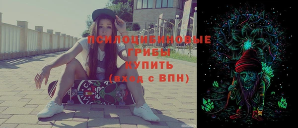 ГАЛЛЮЦИНОГЕННЫЕ ГРИБЫ Богородск