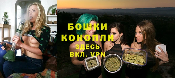 ГАЛЛЮЦИНОГЕННЫЕ ГРИБЫ Богородск