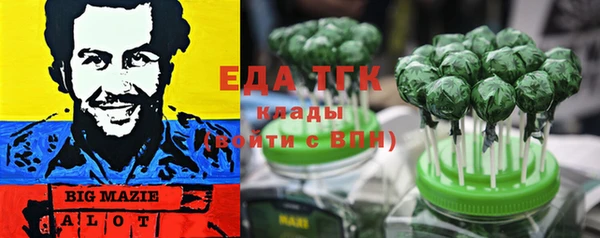 амф Тайга