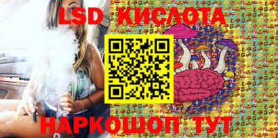 скорость Дубна