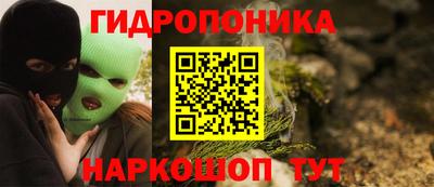 скорость Дубна