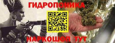 крисы Рязань