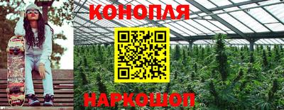 скорость Дубна