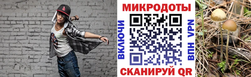 Псилоцибиновые грибы мицелий  Свободный 